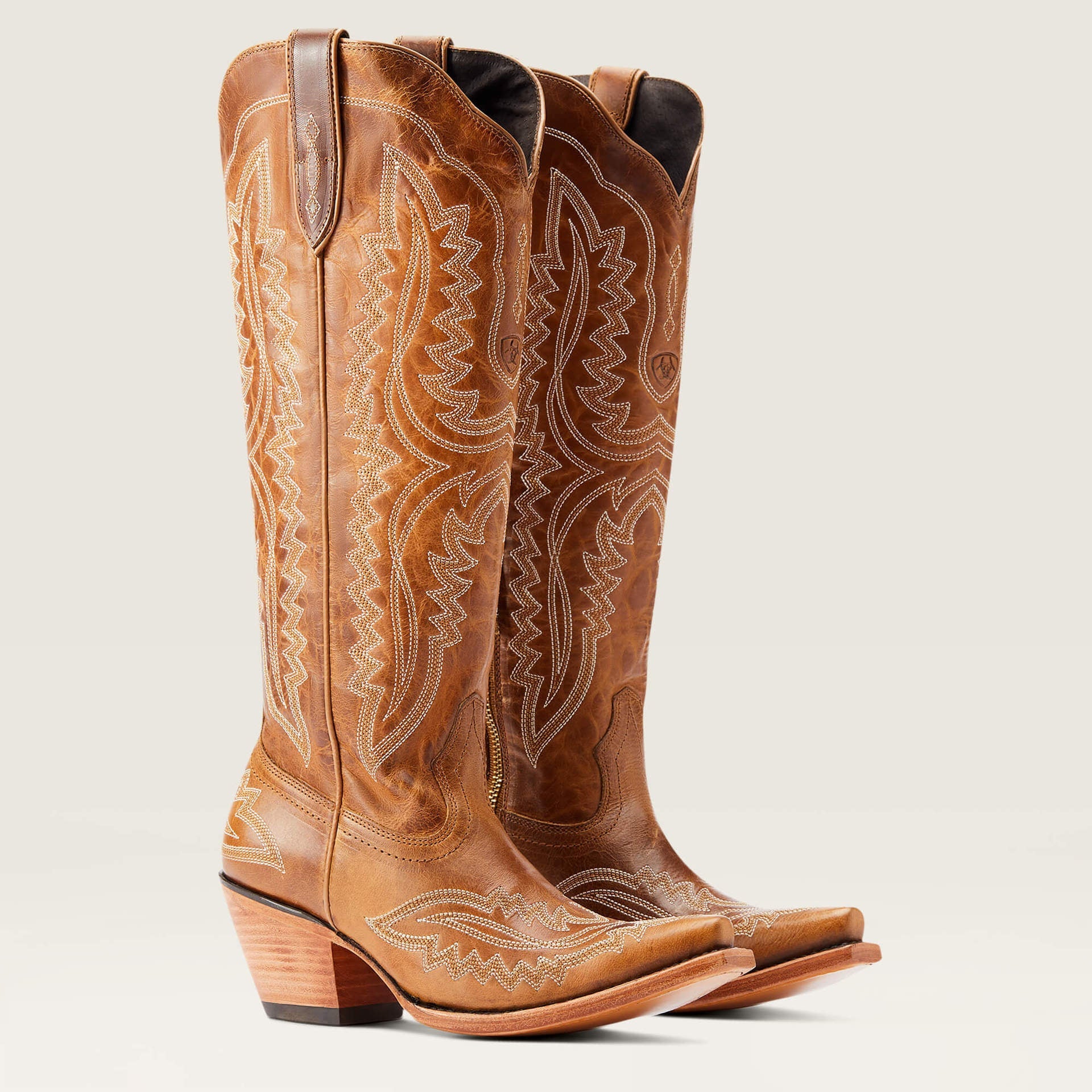 Cowboy Carter Outfits Vintage Embroidered Pointed Toe Western Boots